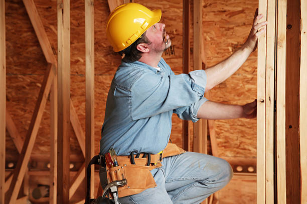 Best Eco-Friendly or Green Insulation Solutions  in Taylorvle, IL